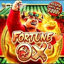 Casino Webcam SLOT JILI Login